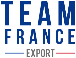 Logo TEAM FRANCE EXPORT